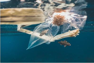 Pollution plastique: des océans à nos assiettes