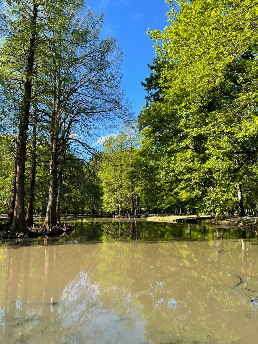 Protecting Ponds: Our Partnership with Forêt et Faune Savage