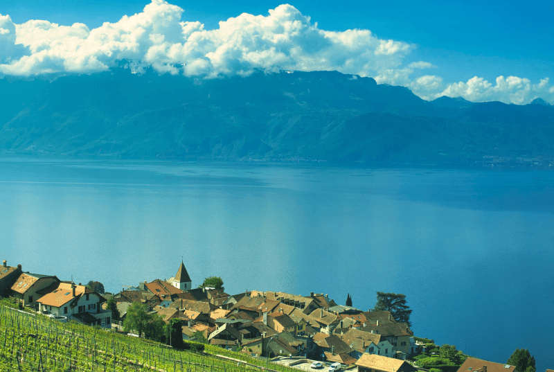 Comment les microplastiques se retrouvent dans nos assiettes