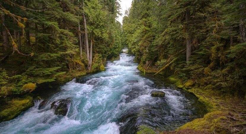 Protecting Our Waters: Celebrating World River Day